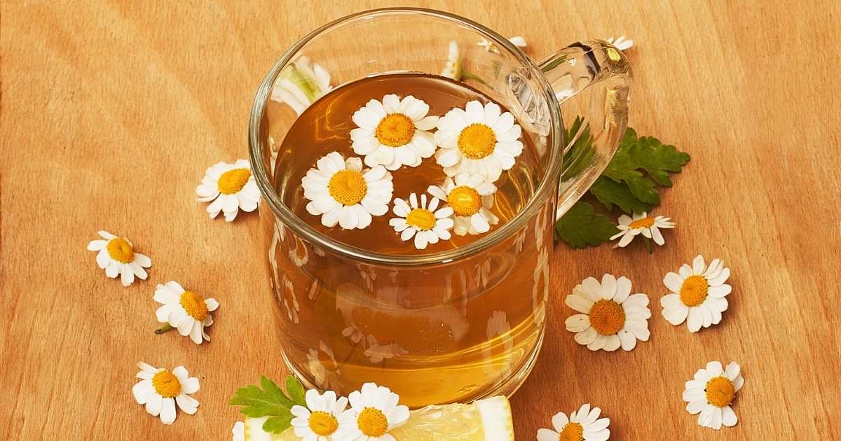 midwives brew tea